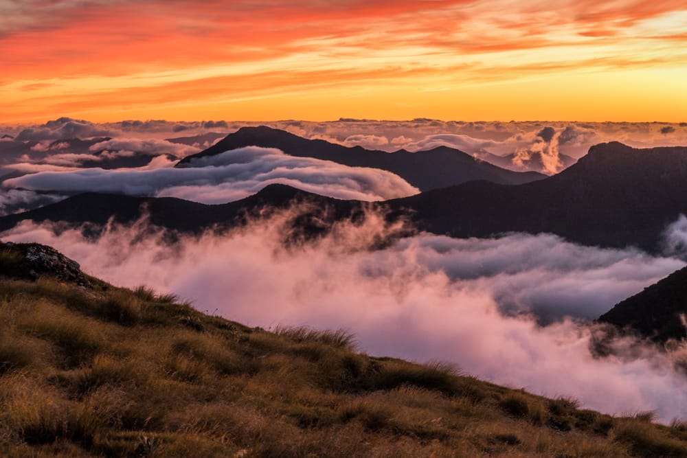 Photographic locations worth sweating for: Mt Fell Hut, Richmond Forest Park post image